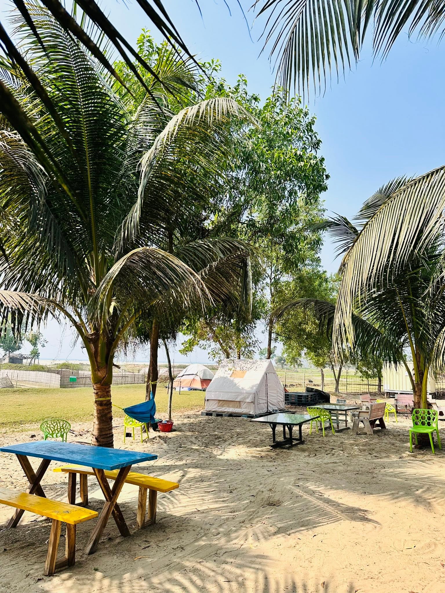 Daytime Campsite Picnic Area